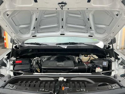 2020 Chevrolet Silverado 1500 4WD Crew Cab Short Bed Custom Trail Boss