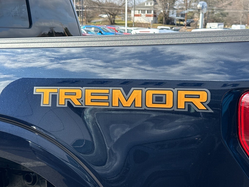 2025 Ford F-150 Tremor