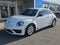 2017 Volkswagen Beetle 1.8T Fleet