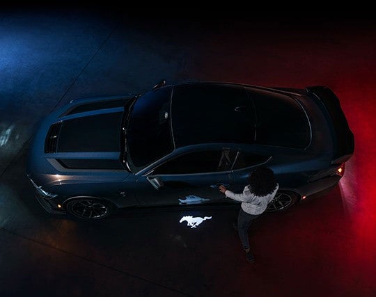 cobra mustang Marlinton, WV