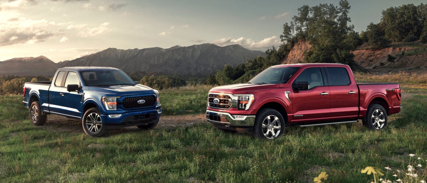 2023 Ford F150 Exterior Two In Grassy Field