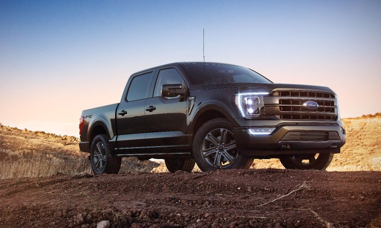 2023 Ford F-150 Parked At Sand Dune