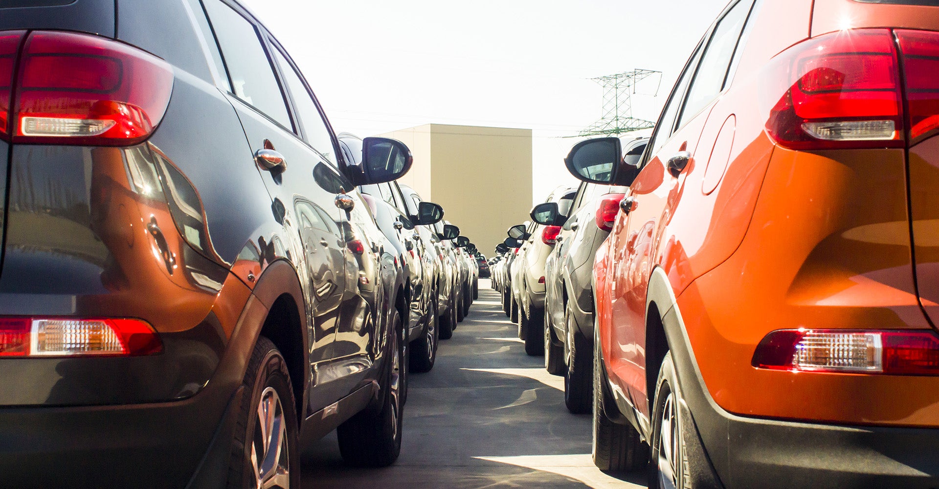 ford trucks for sale